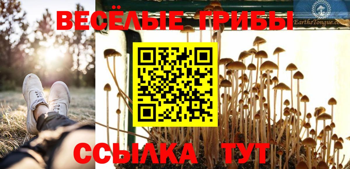 Псилоцибиновые грибы Psilocybine cubensis Нижневартовск
