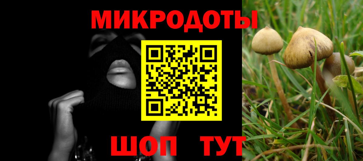 Галлюциногенные грибы прущие грибы  Галлюциногенные грибы GOLDEN TEACHER  Нижневартовск  Вход с VPN 